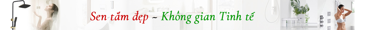 bannerdmspturinto6